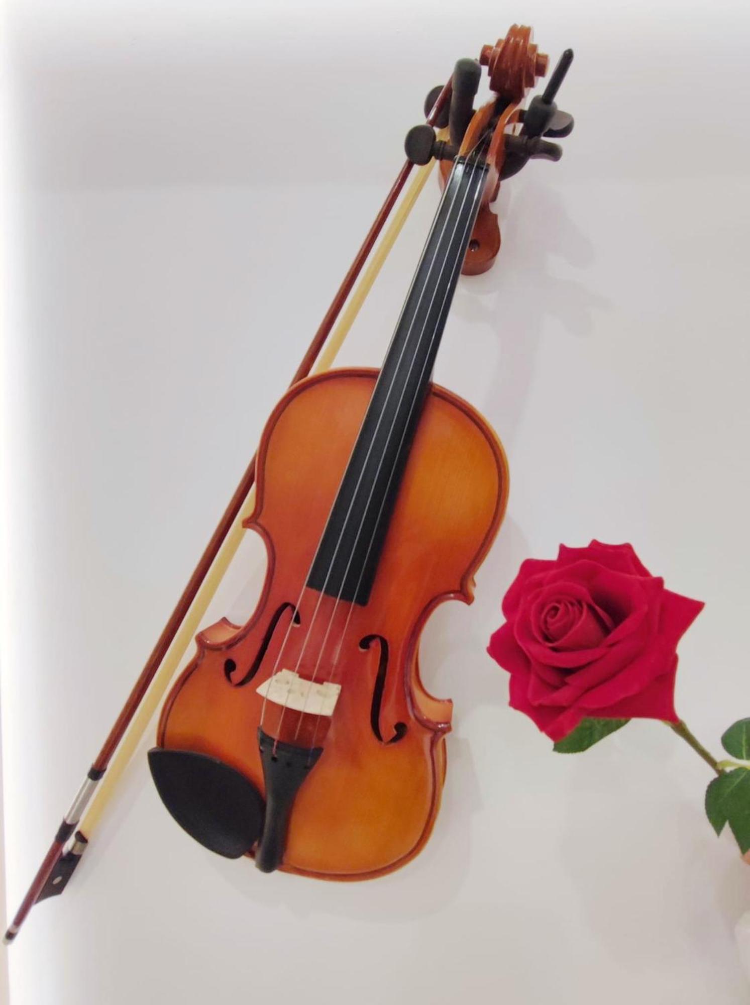 Arena Concert Concerto Love - Historic House Amorino At "Palazzo Tiolo" Palace 维罗纳 外观 照片